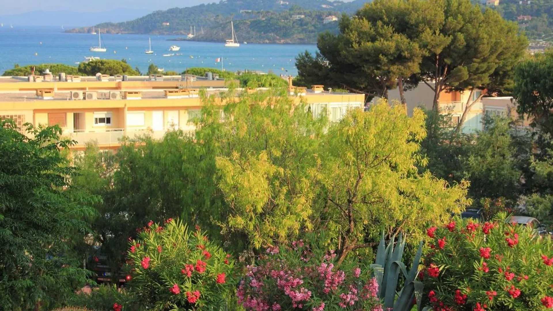 Apartment Appartement T2 Cosy Avec Jardin, Proche Plage Et Commerces - Bormes-Les-Mimosas - Fr-1-251-756